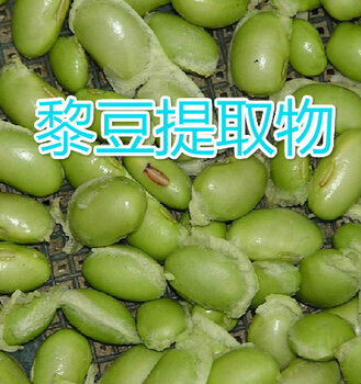 厂家现货供应黎豆提取物